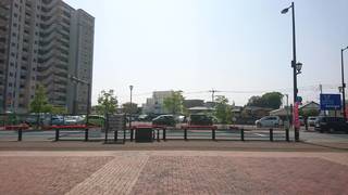 8106.jpg