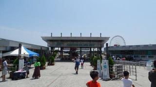 DSC02066-1.jpg