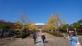 DSC_2150.jpg