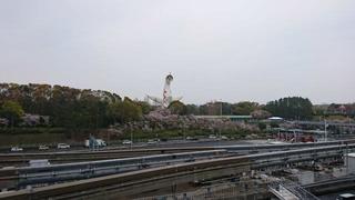 DSC_2590.jpg